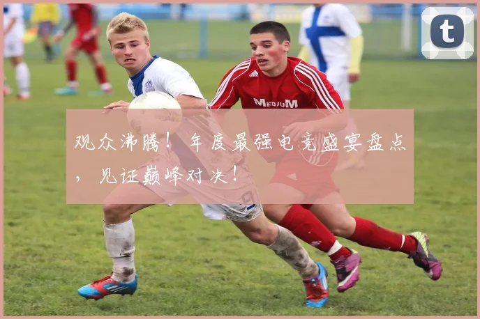 观众沸腾！年度最强电竞盛宴盘点，见证巅峰对决！