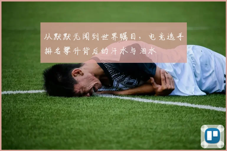 从默默无闻到世界瞩目，电竞选手排名攀升背后的汗水与泪水